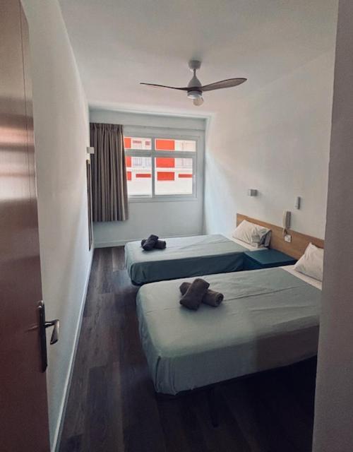 Rosamar Playa De Las Canteras 大加那利岛拉斯帕尔马斯 外观 照片
